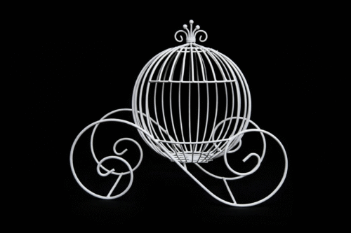 Cinderella centerpiece rental for events